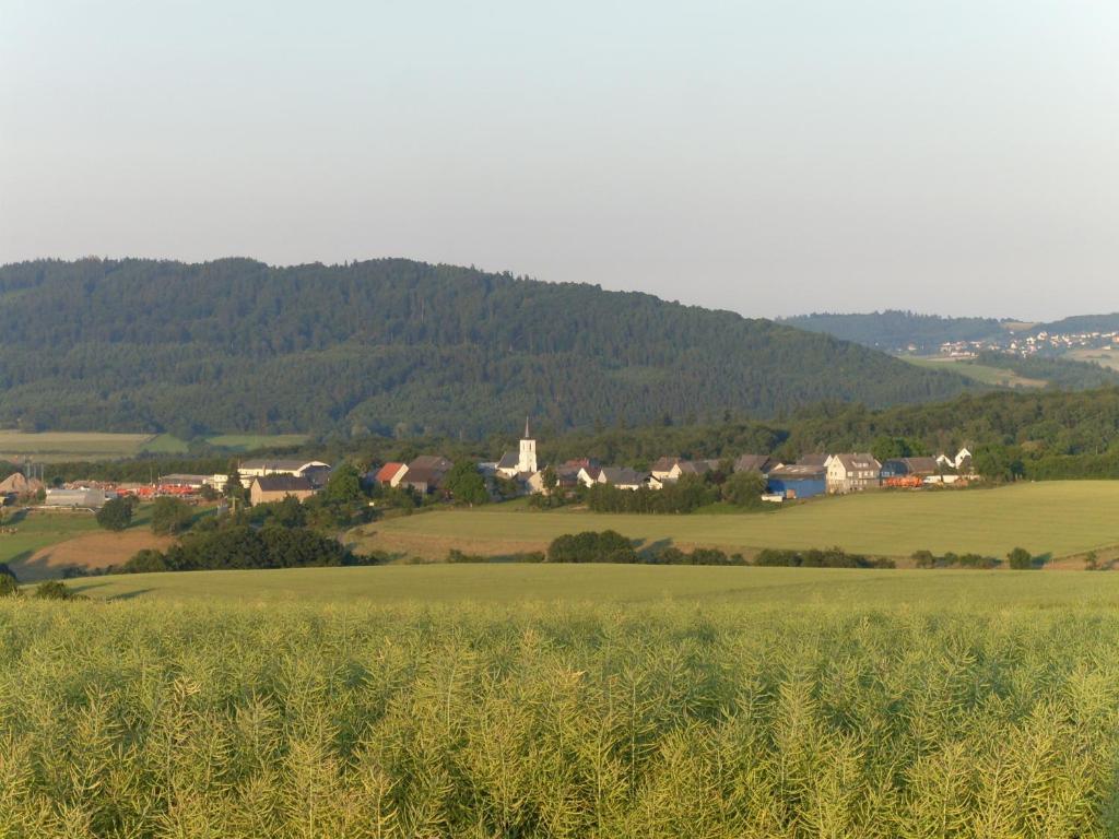 Haus Irmgard Villa Schlierschied Exterior photo